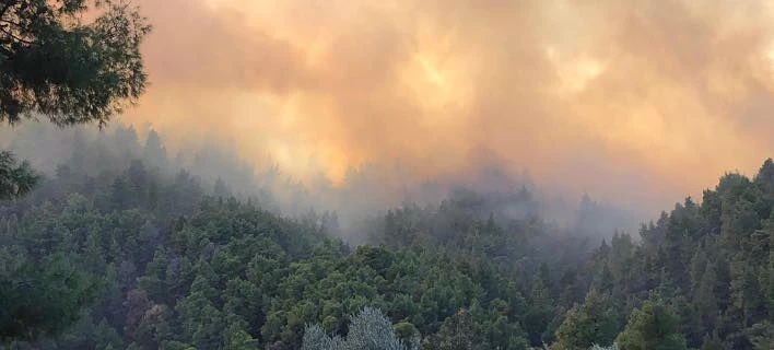 Μαίνεται η φωτιά στη Χαλκιδική -Κατάσταση εκτάκτου ανάγκης για Σάρτη-Συκιά (εικόνες, βίντεο)